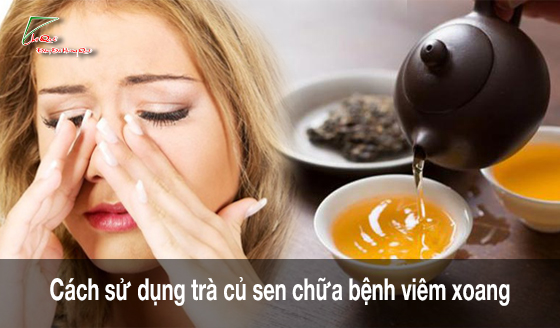 Trà củ sen chữa bệnh viêm xoang